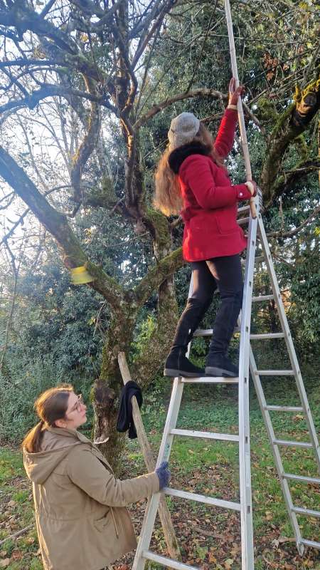 Abbaye-Veniere-pause monastique-novembre (3)_1