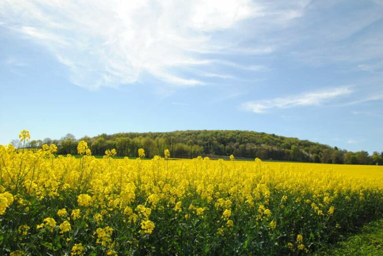 Dans la lumière de pâques...